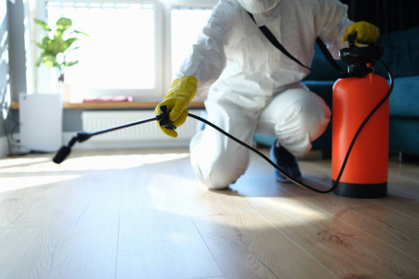 Reliable Infectious Disease Decontamination contractor in Lodi, CA by Trauma Clean Pros
